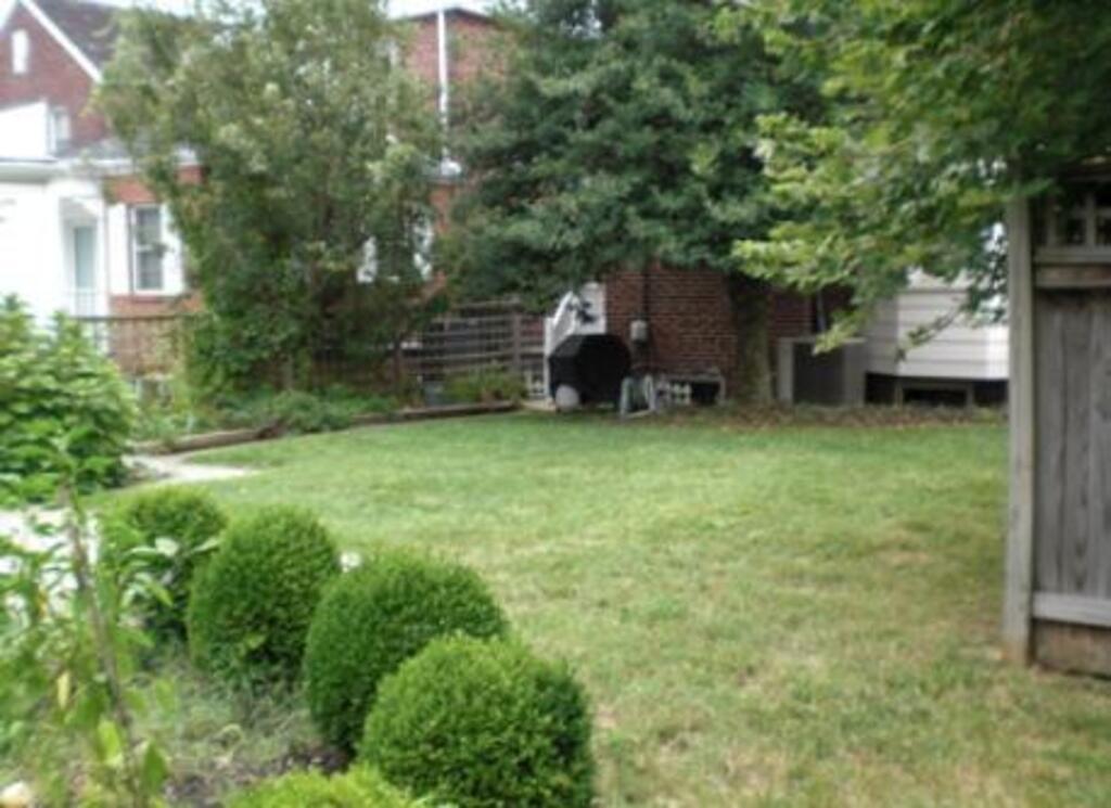 Side yard (Washington, DC) 