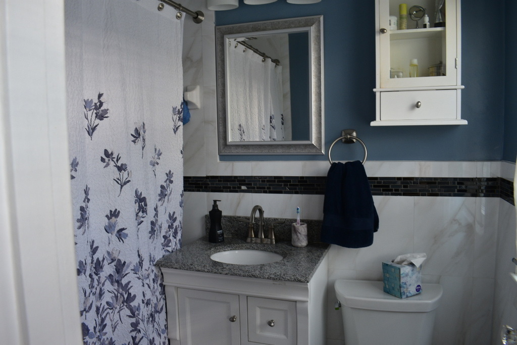 One of Two Full Bathrooms (Washington, DC)