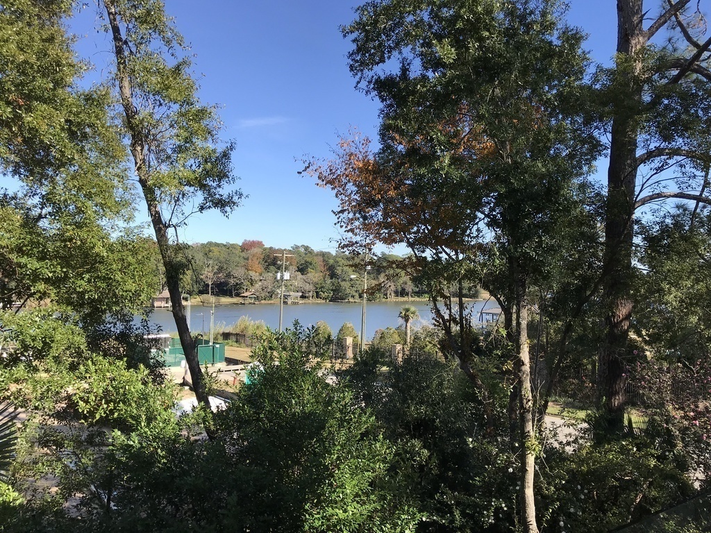 View over the Bayou from upstairs deck