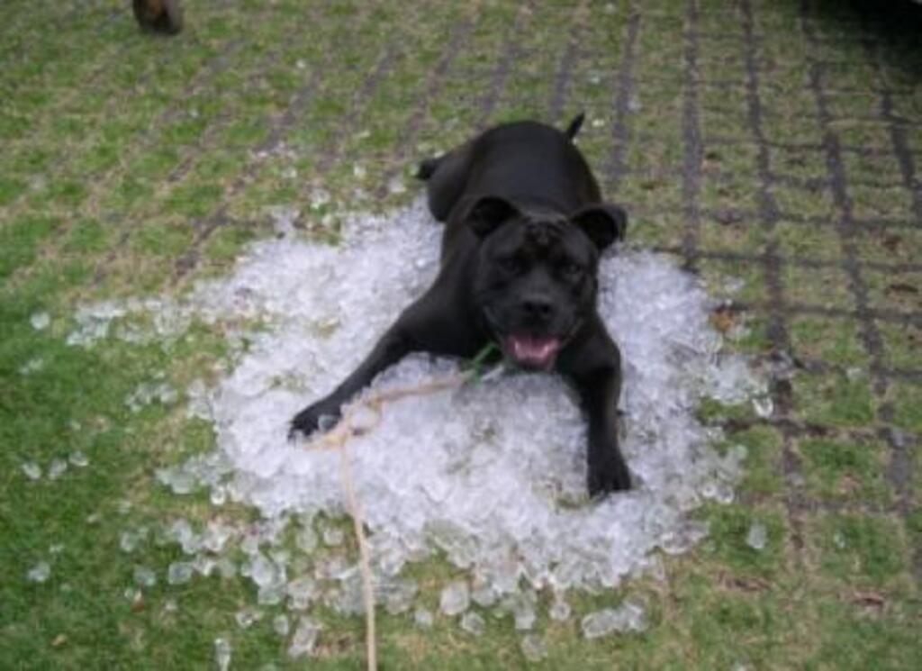 I am in Heaven now but Mommy really likes this picture