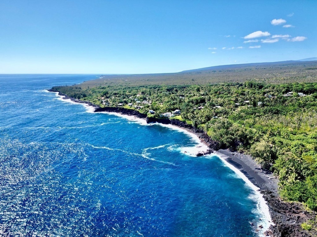 Our rainforest and lava coastline