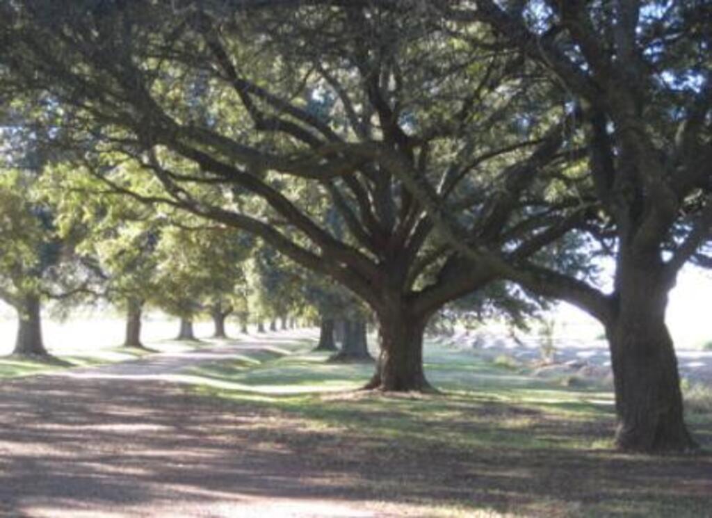 driveway of country home