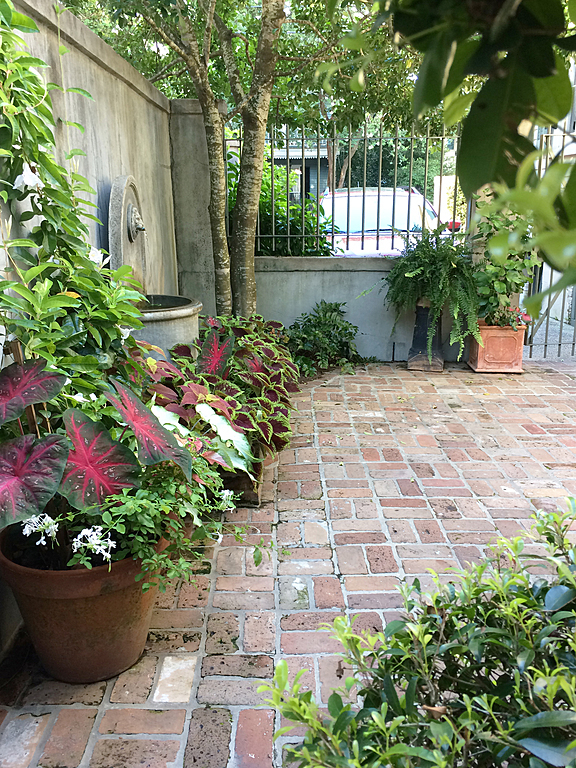 Entrance to Private Patio - New Orleans