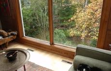 Conservation Land Behind House