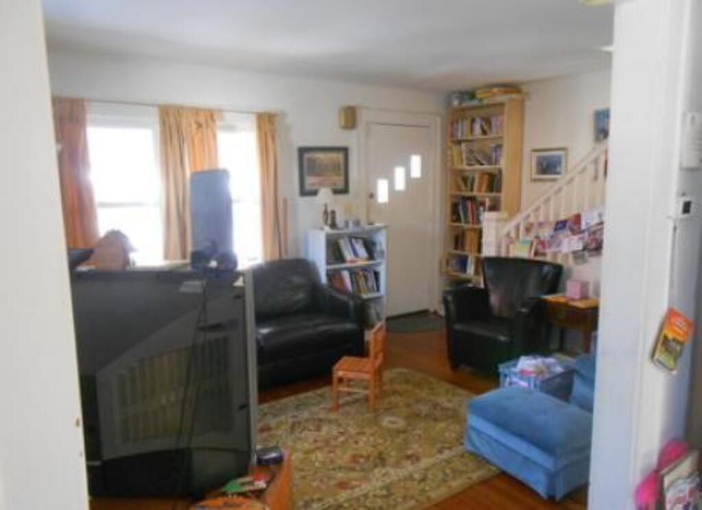 Living Room Area - Couch converts to double bed