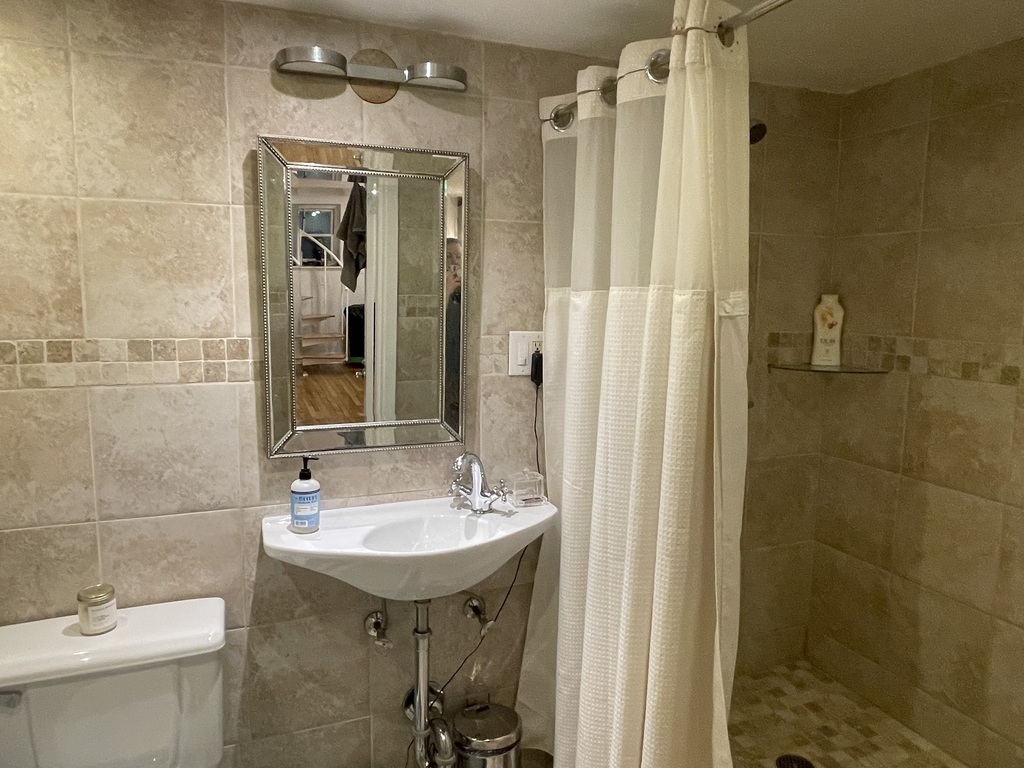 Bathroom in the basement