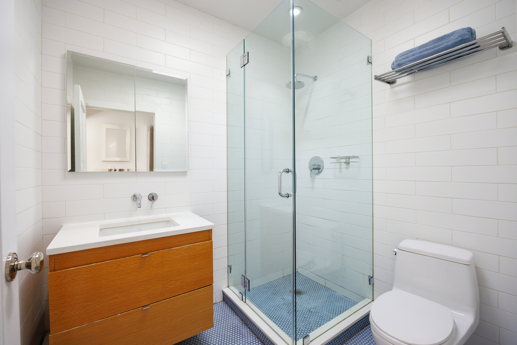 Modern Bath With Shower + Skylight