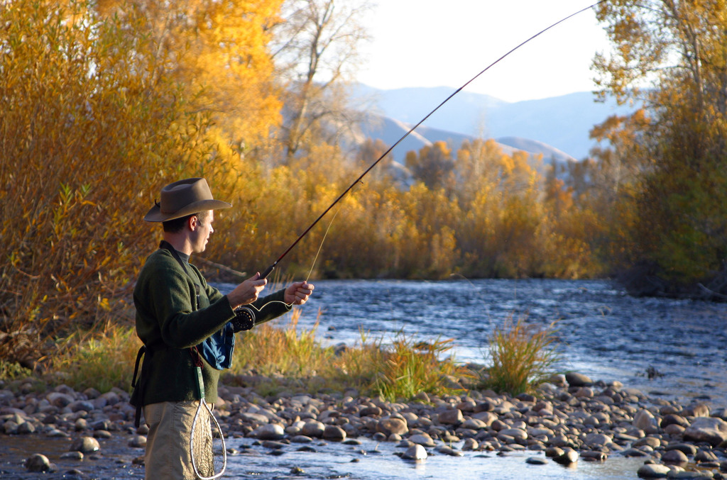 Fish in mountain streams