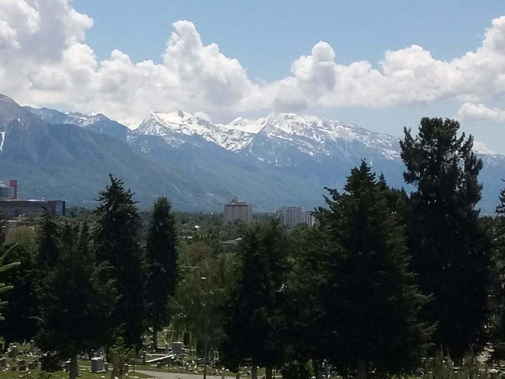 mountain view 5 min walk from house