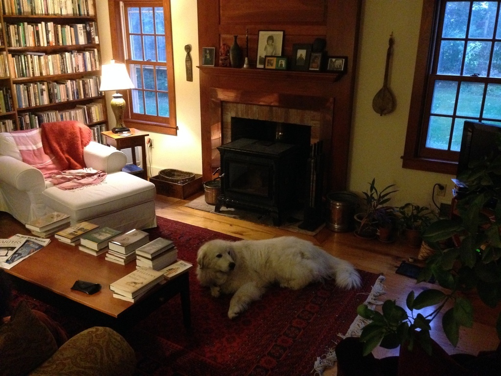 Living room with wood stove and our dog, Theo