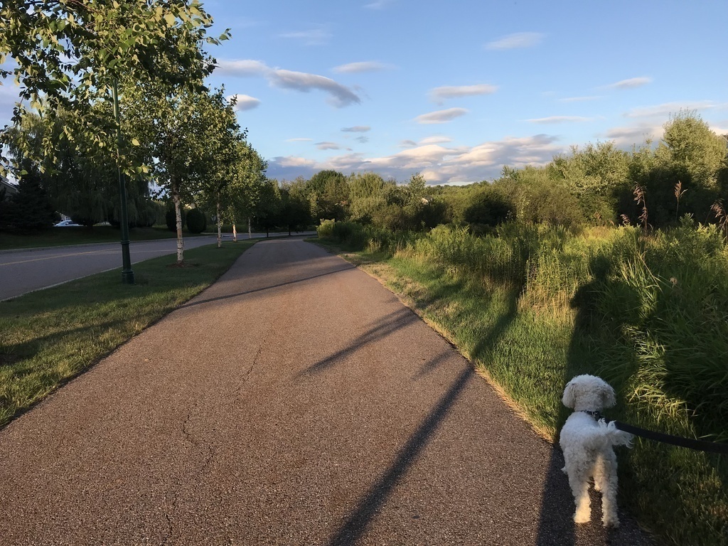 Network of bike and pedestrian paths through neighborhood, wild and parkland accessible from front door