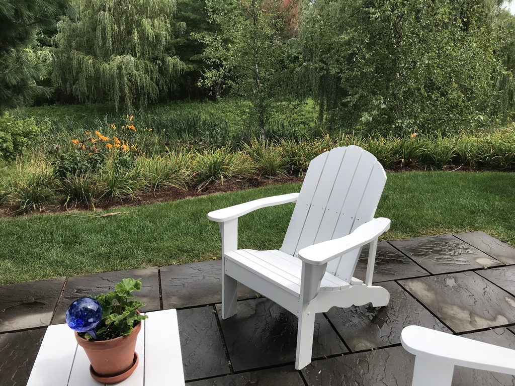 View from back patio towards pond