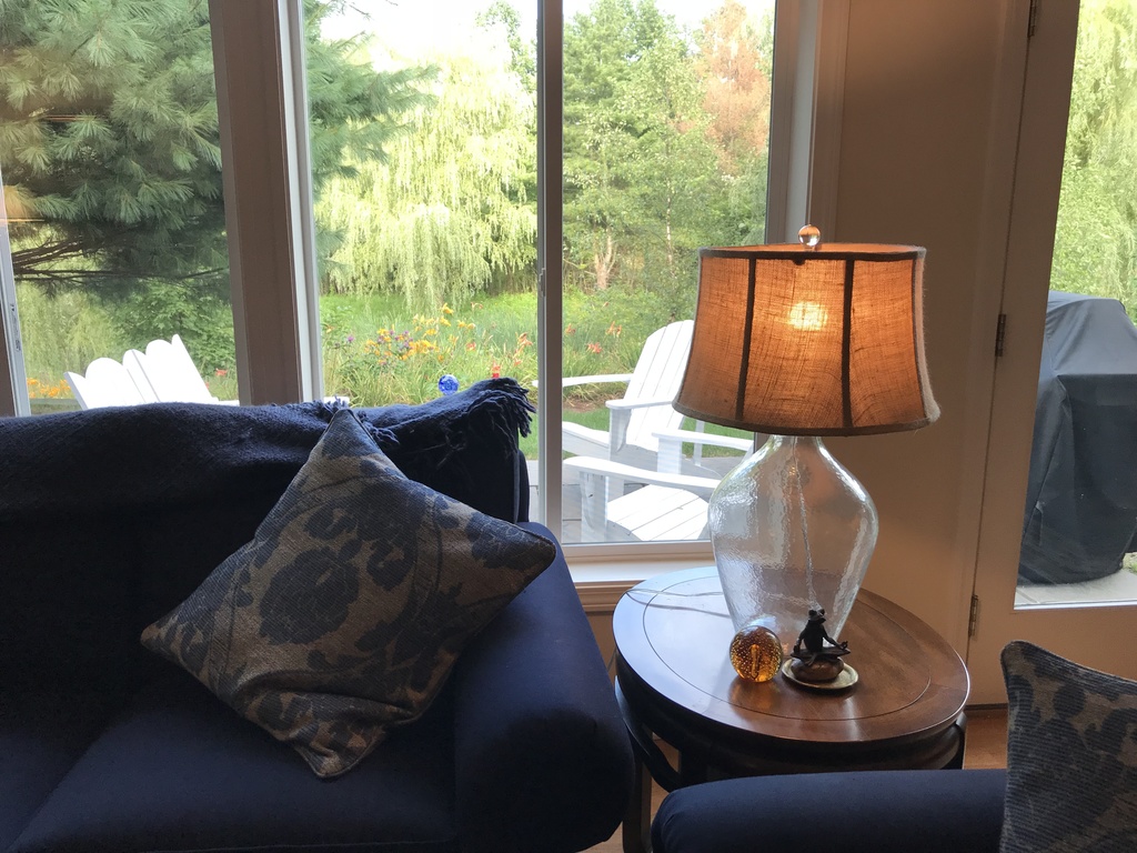 View from Living Room 