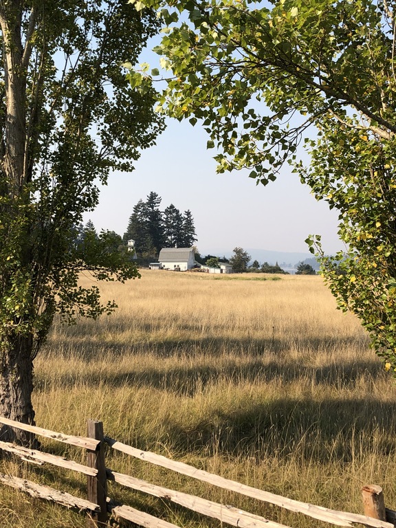 A roadside vista around Deer Harbor