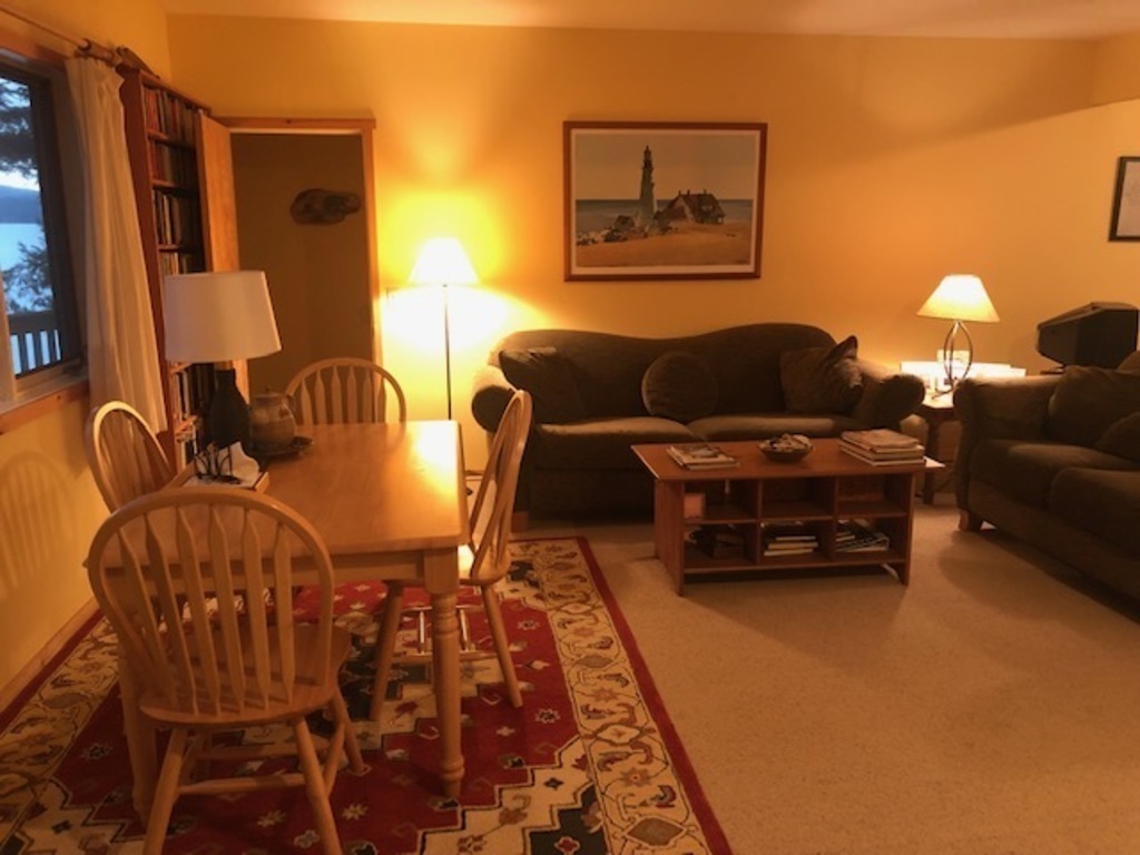 Downstairs living room