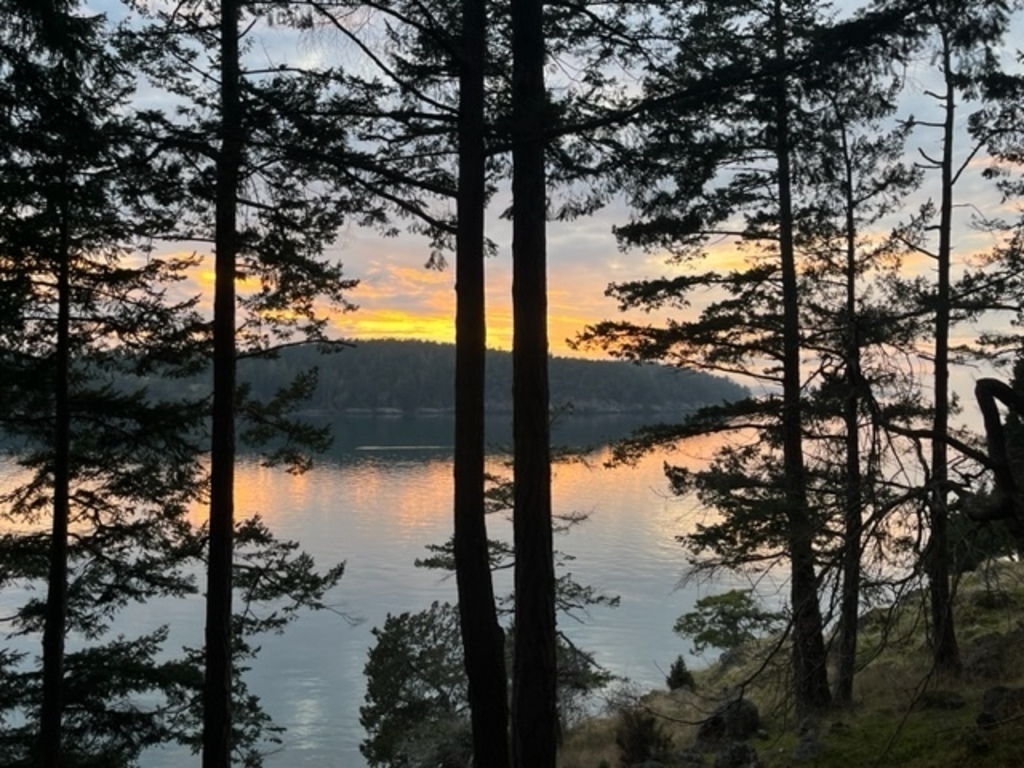 View from deck at sunset
