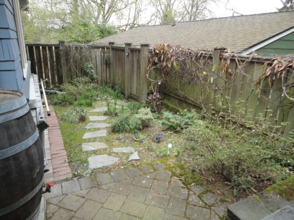 A small side yard