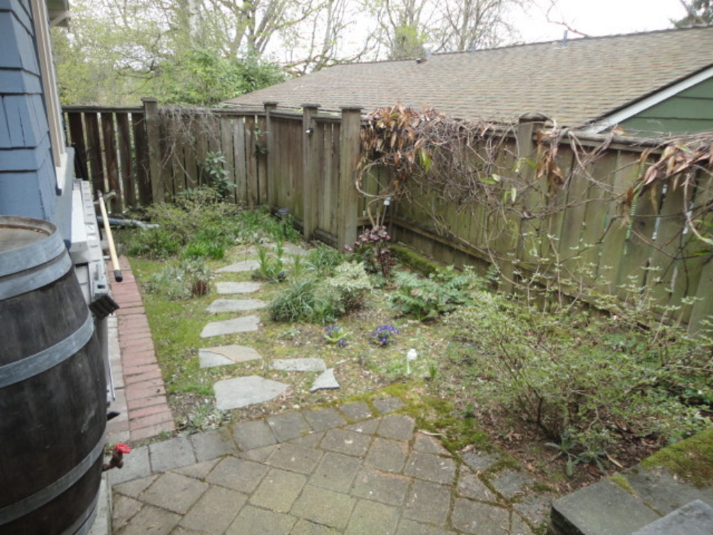 A small side yard