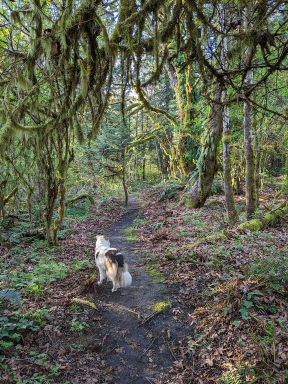 Neighborhood Hiking Trail 