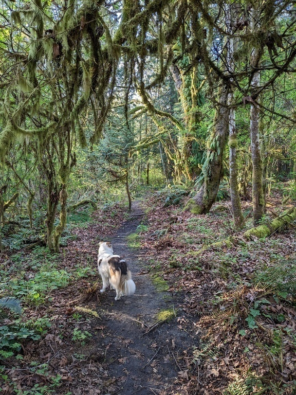 Neighborhood Hiking Trail 