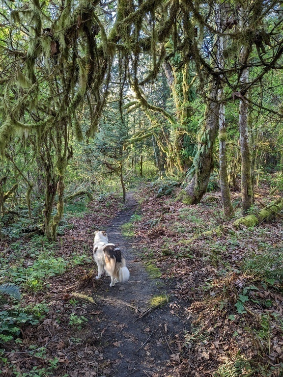Neighborhood Hiking Trail 