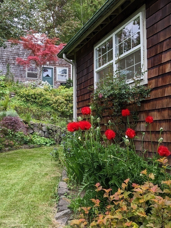 House and Garage beyond