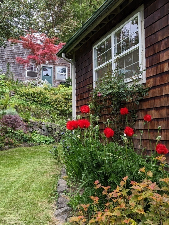 House and Garage beyond