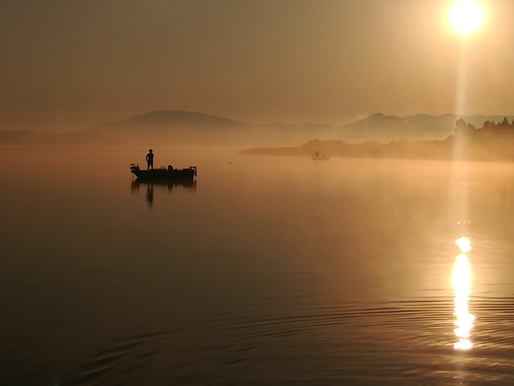 Morgenstimmung am Wallersee