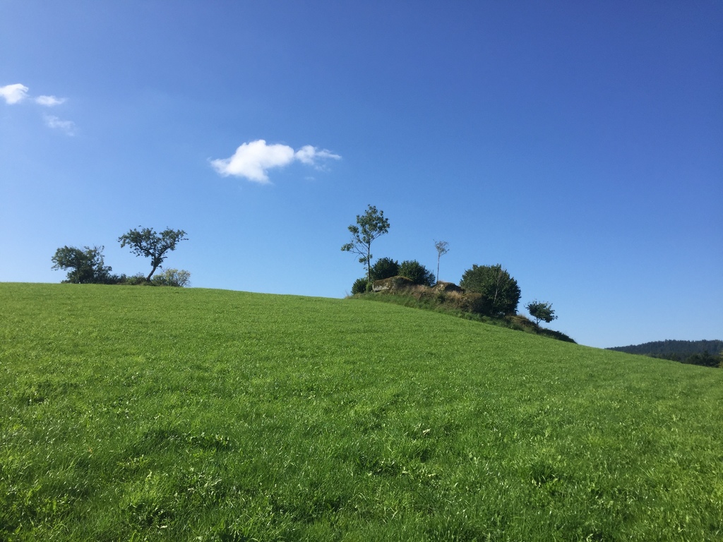 A landscape shot from the neighborhood 