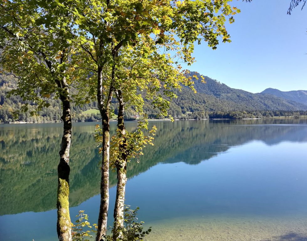 Hintersee