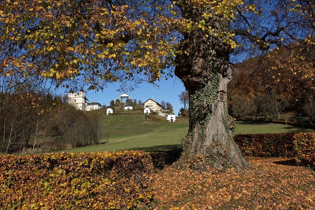 Maria Plain - Basilika above Salzburg