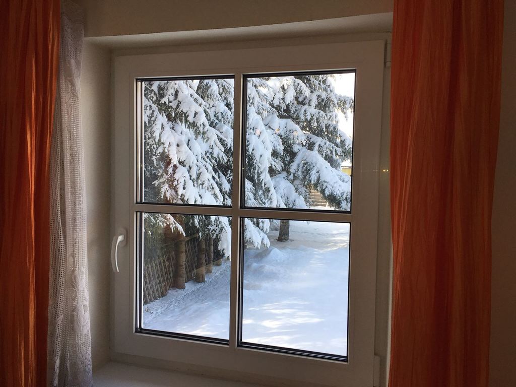 Gastein: view from the living room into the garden