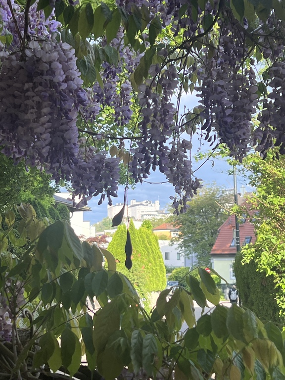 View from our house to the fortress 