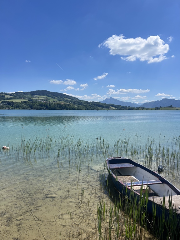 Lake area