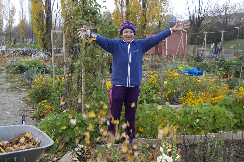 Vienna - neighborhood garden founded by me