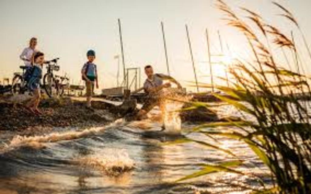 Lake neusiedl- get out of the city :)