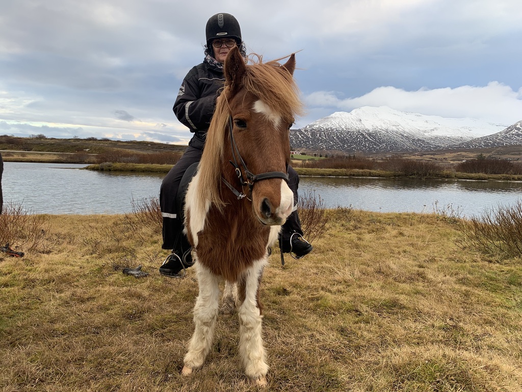 Horseriding in Iceland