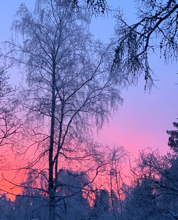 Morning in Finland