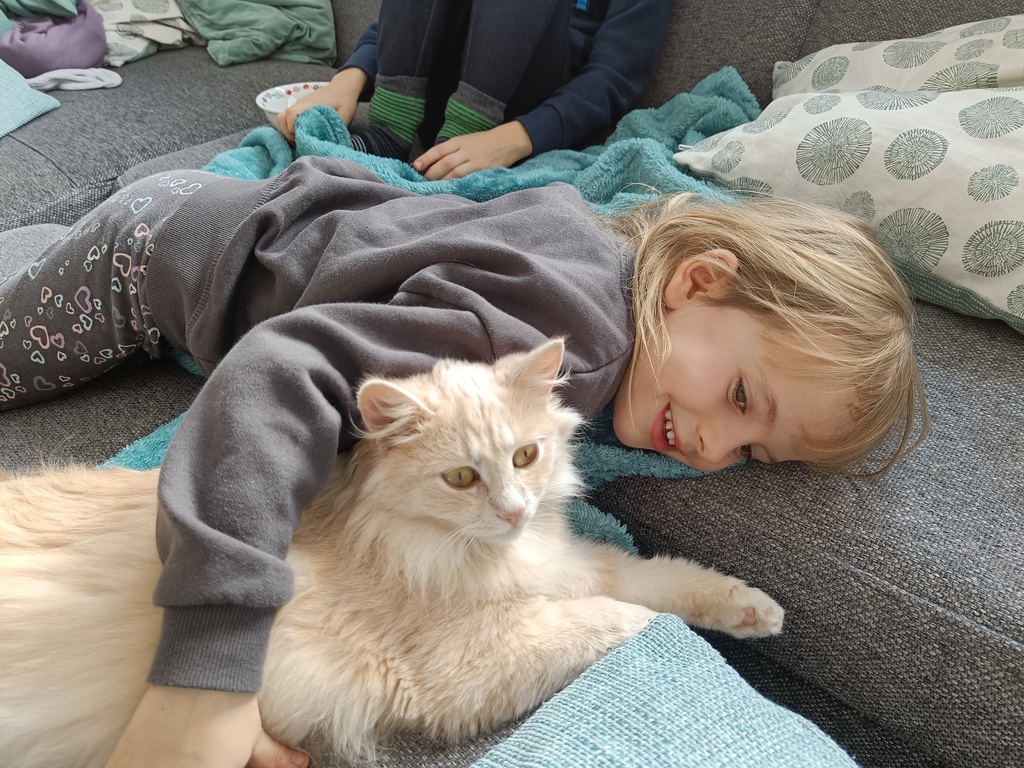 Cat Fiona cuddling with Johanna