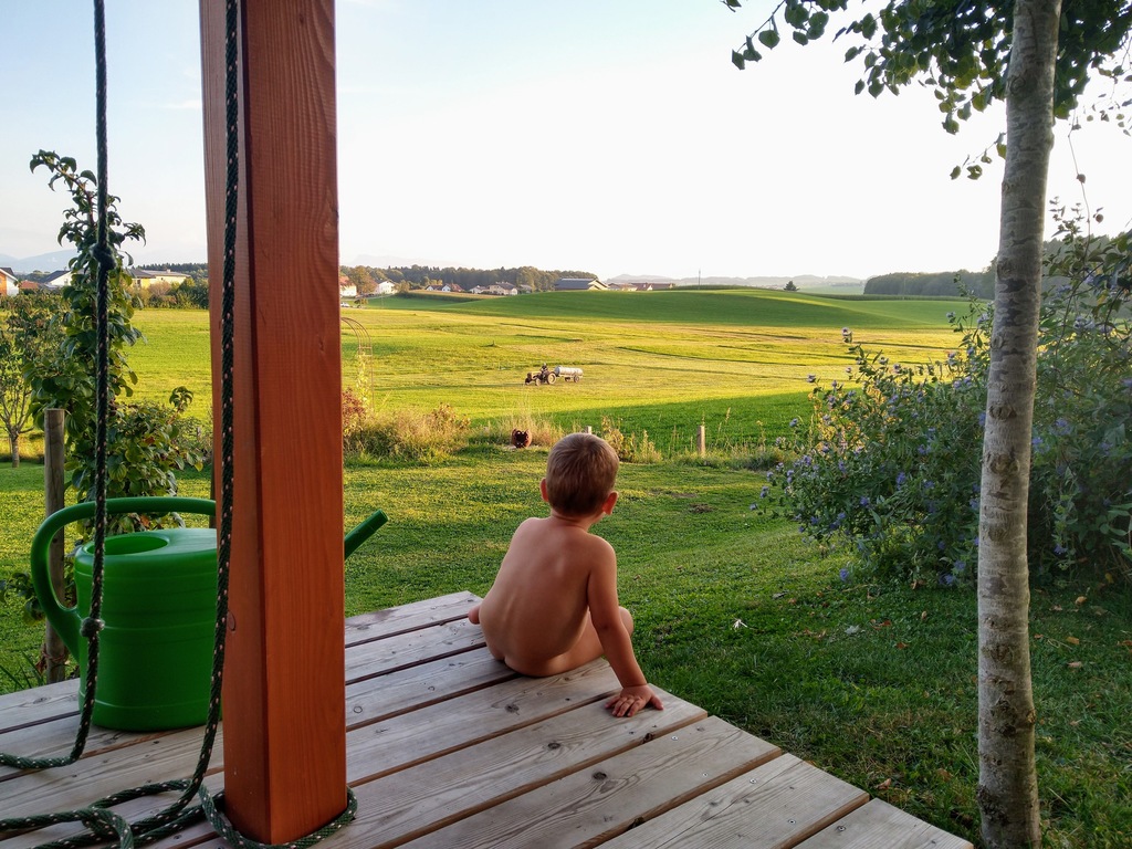 view from the terrace