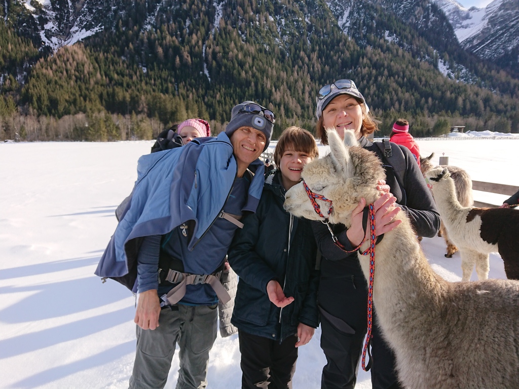 alpaka trekking in Gschnitz winter 2023