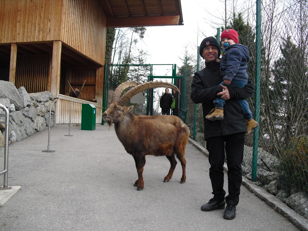 walk-in ibex enclosure Alpine Zoo Innsbruck