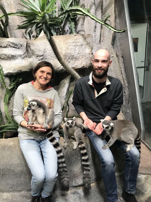 Feeding Kattas at the Vienna Aquarium "Haus des Meeres"