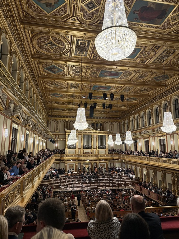 Vienna philharmonics 