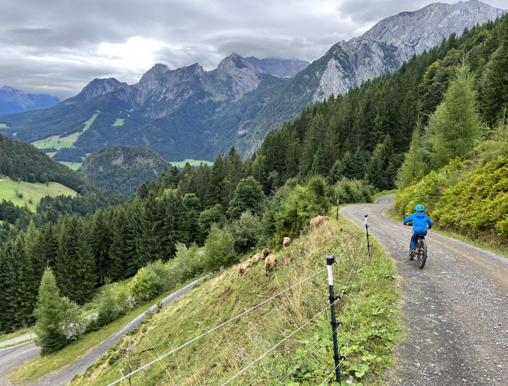 Up on the mountain in Abtenau