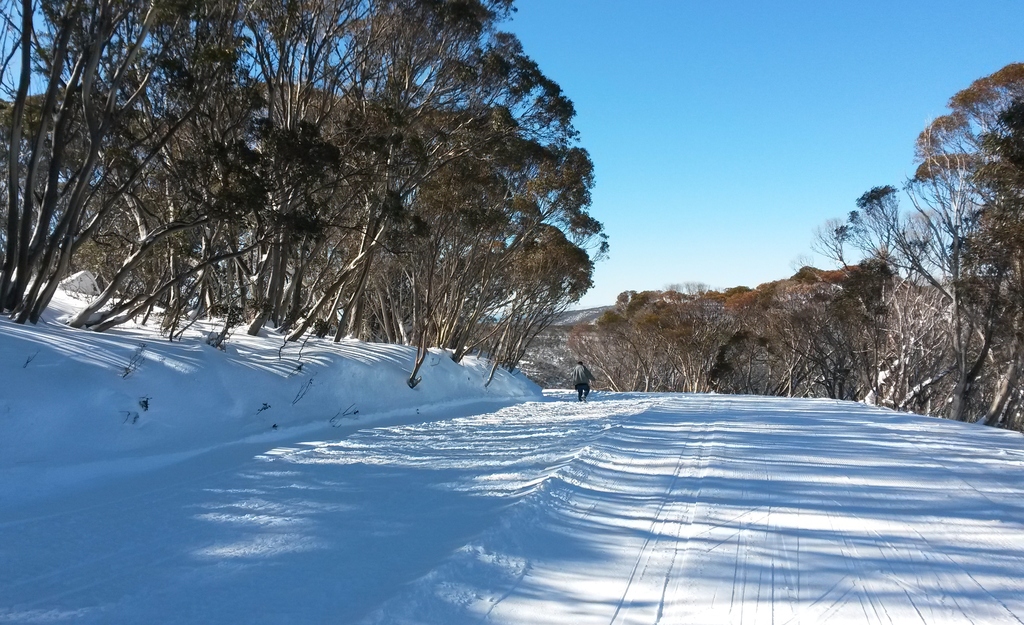 Mount Hotham, Victoria