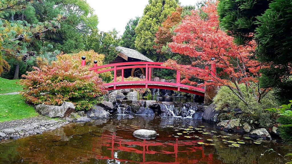 Japanese garden,  Botanical Gardens Hobart.  A few minutes drive from our home. 