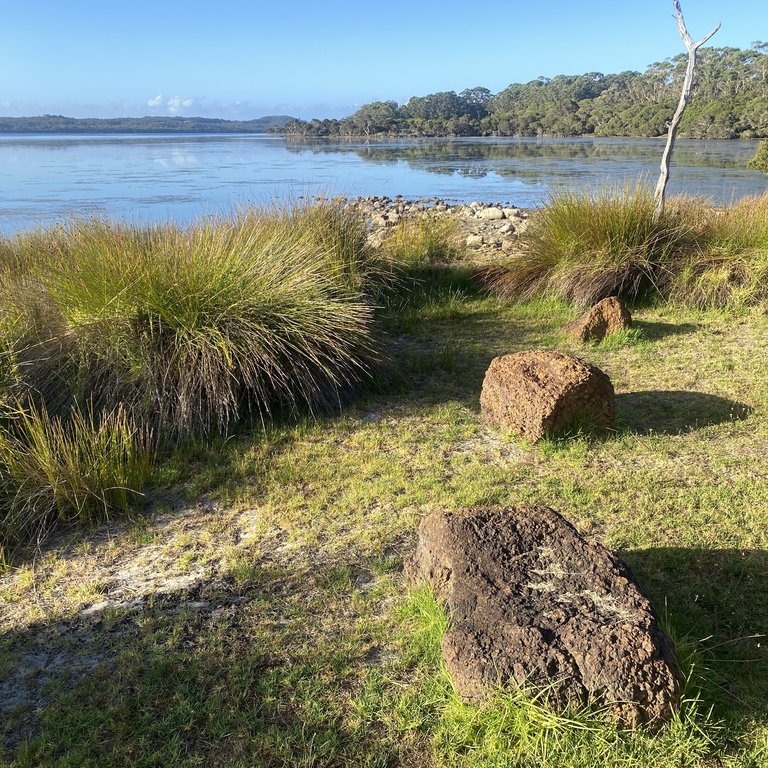 local inlet, one of many inlets