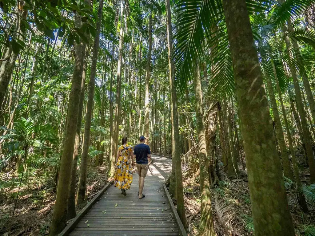 Day trip: Springbrook National Park