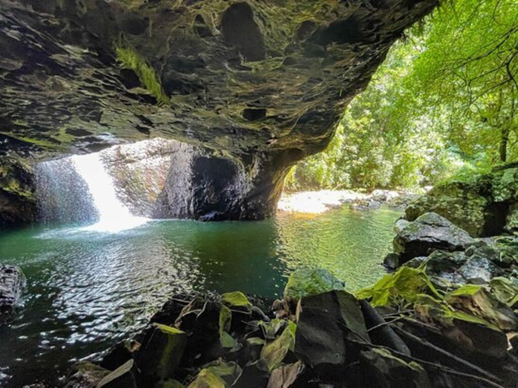 Day trip: Springbrook Natural Arch